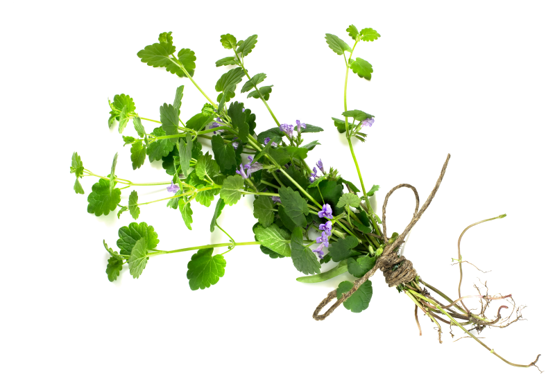 GettyImages-536260710 (1)